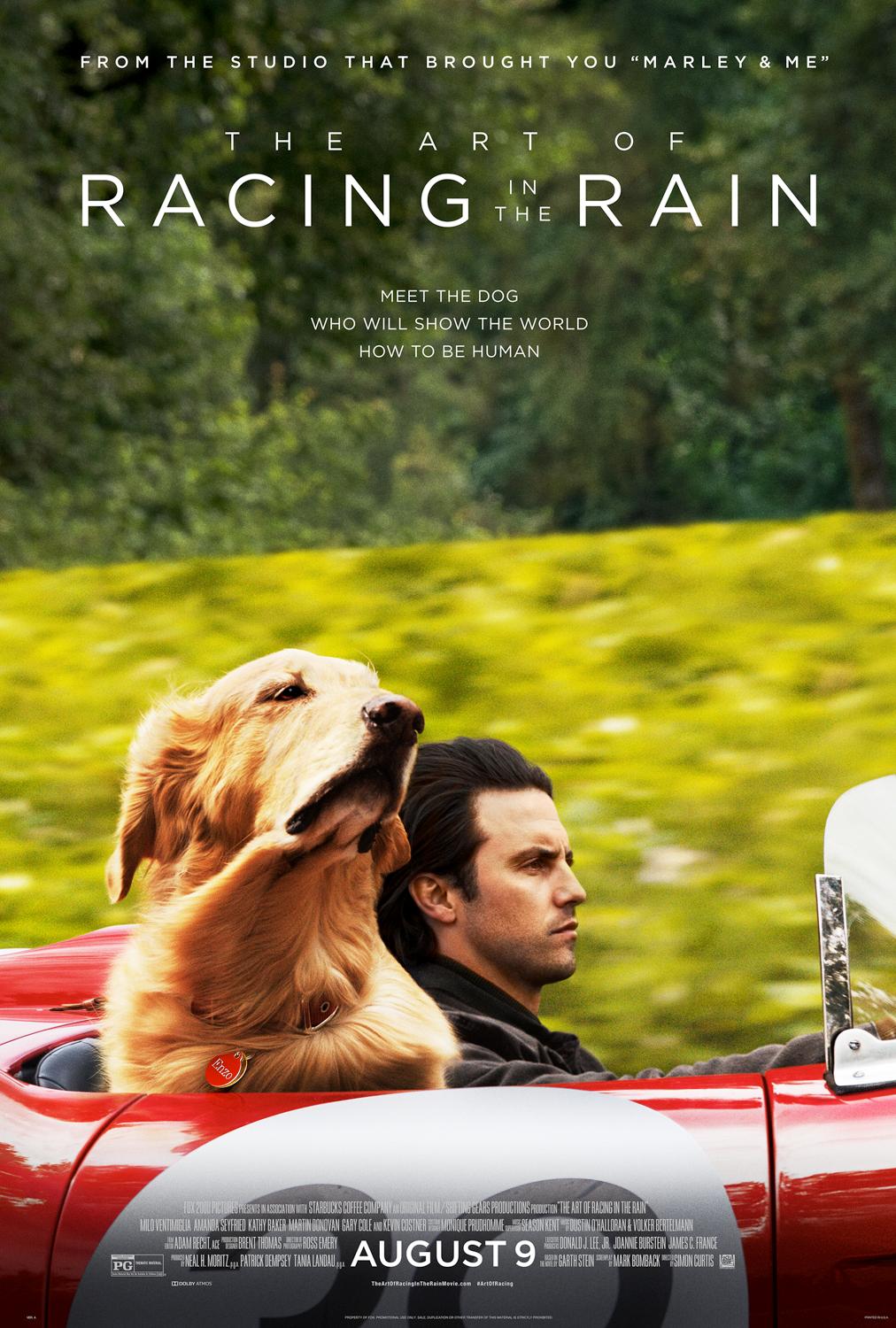 How to Steal a Million فیلم