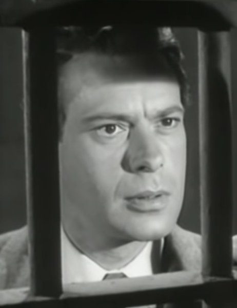 Ross Elliott