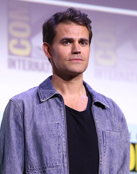 پل وسلی