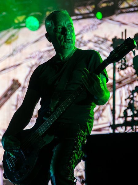 Necrobutcher