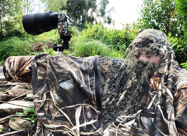 wildlife photographer