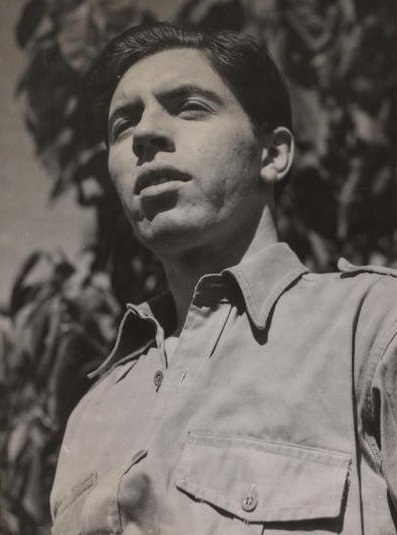 مایکل پتی