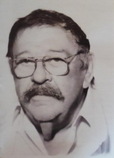 پاوله وویسیچ