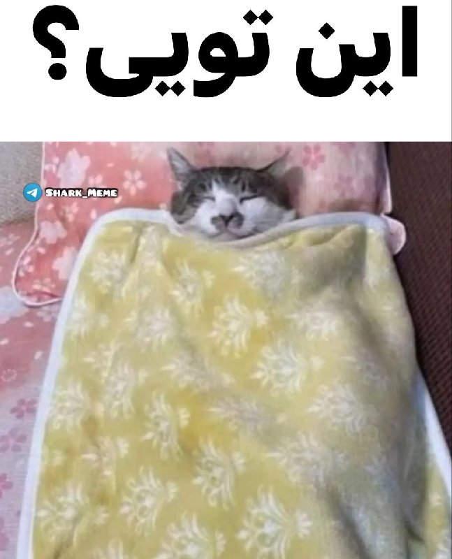 پخ