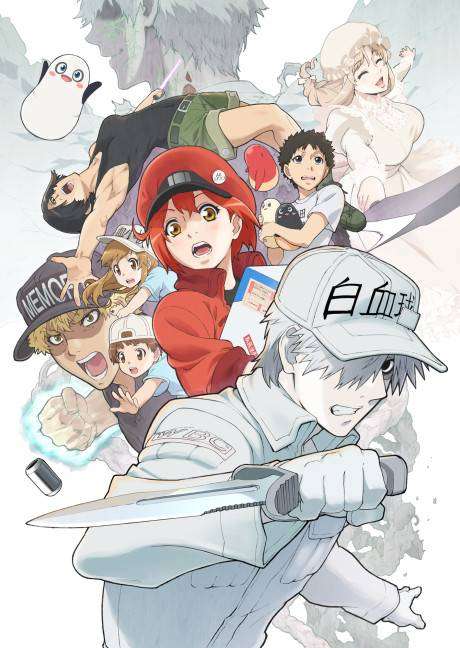 Hataraku Saibou!! سریال