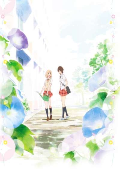 Kimi no Hikari: Asagao to Kase-san. سریال