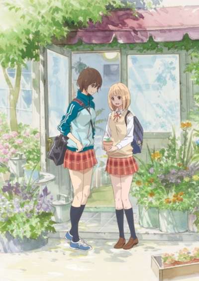 Asagao to Kase-san. سریال