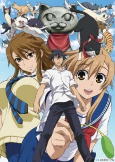 Nyan Koi! سریال