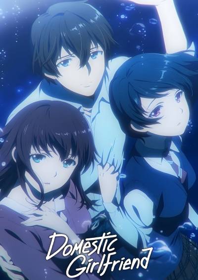 Domestic na Kanojo سریال