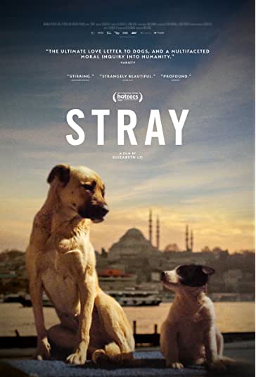 ولگرد فیلم