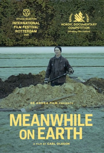 در این میان روی زمین فیلم