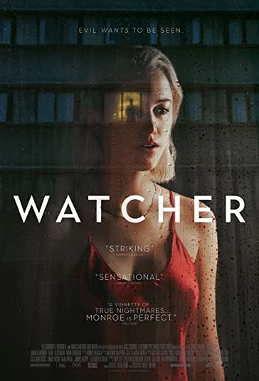 ناظر فیلم