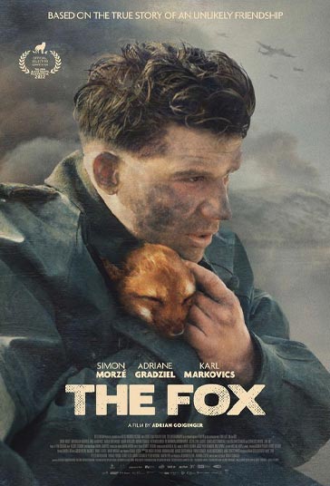روباه فیلم