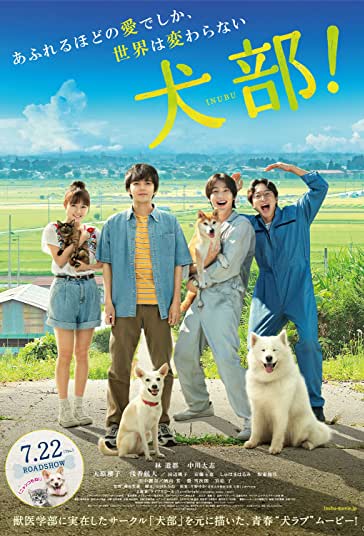 اینوبو فیلم