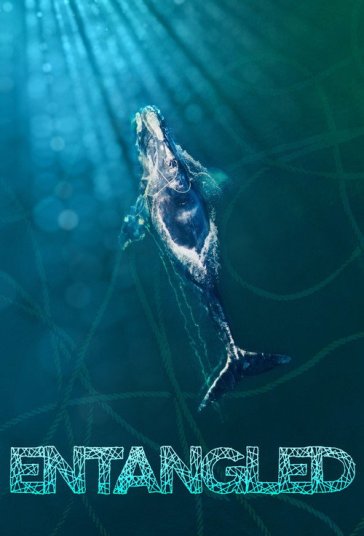 گرفتار در دام فیلم