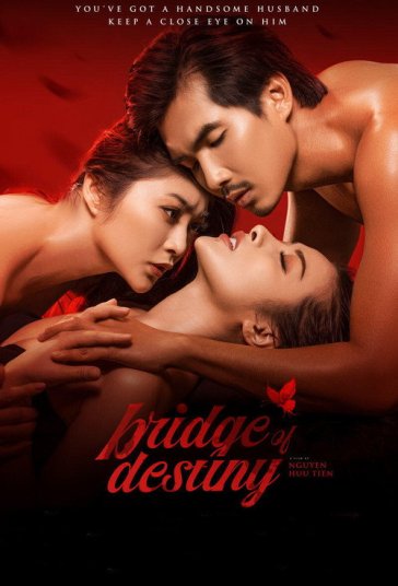 پل سرنوشت فیلم
