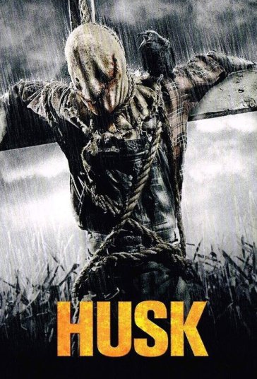 پوسته فیلم