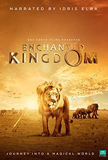 قلمرو مسحور شده فیلم