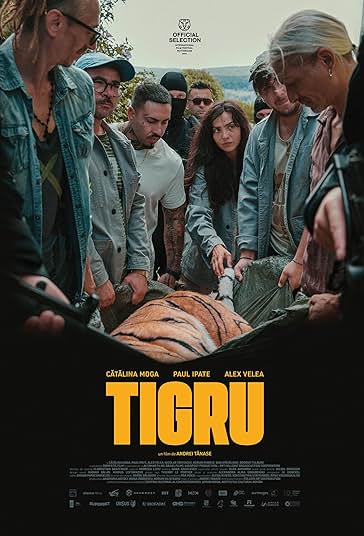 روز ببر فیلم