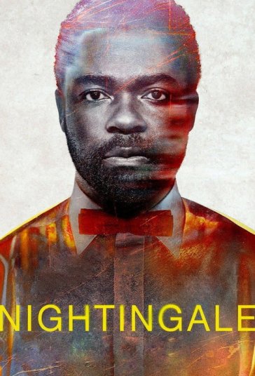 بلبل فیلم
