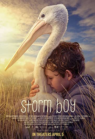 پسر طوفان فیلم