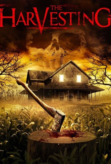 برداشت فیلم