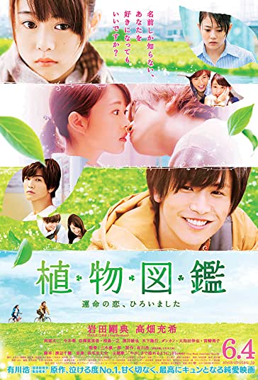 عشق هميشه سبز فیلم