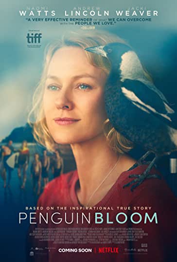 پنگوئن بلوم فیلم