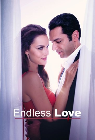 عشق بی‌پایان فیلم