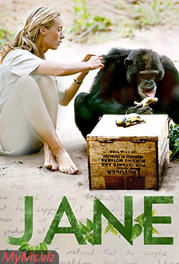 جین فیلم