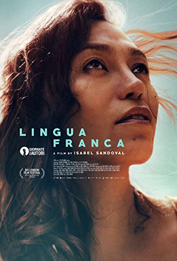 زبان میانجی فیلم