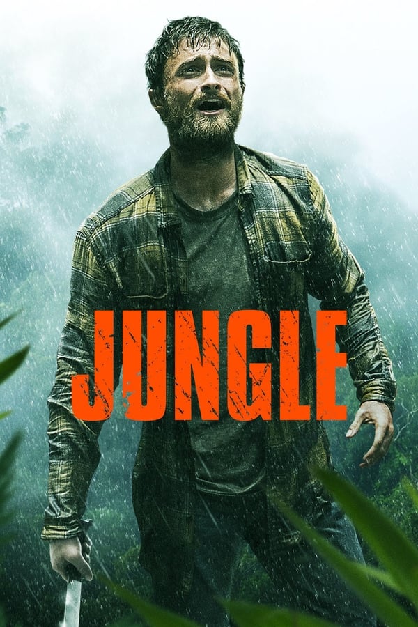 جنگل (محیط) فیلم
