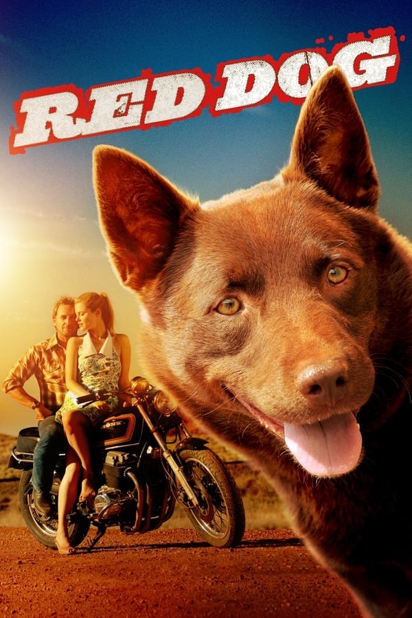 Red Dog فیلم