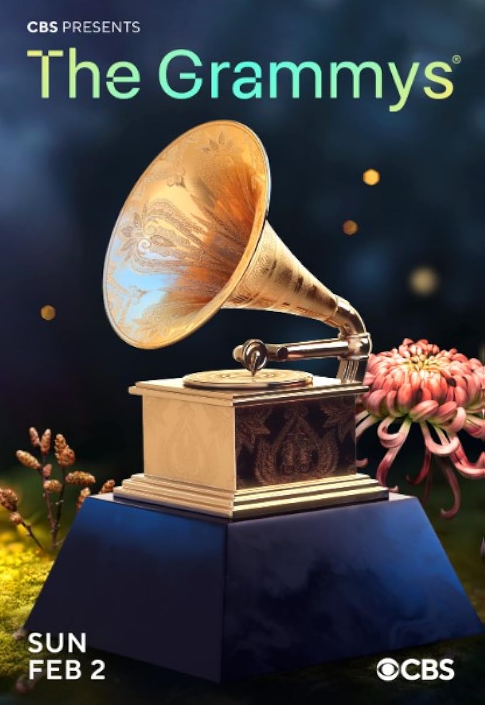 The 67th Annual Grammy Awards فیلم