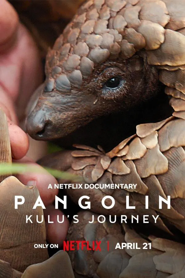 مستند Pangolin: Kulu's Journey فیلم