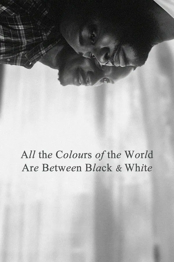 All the Colours of the World Are Between Black and White فیلم