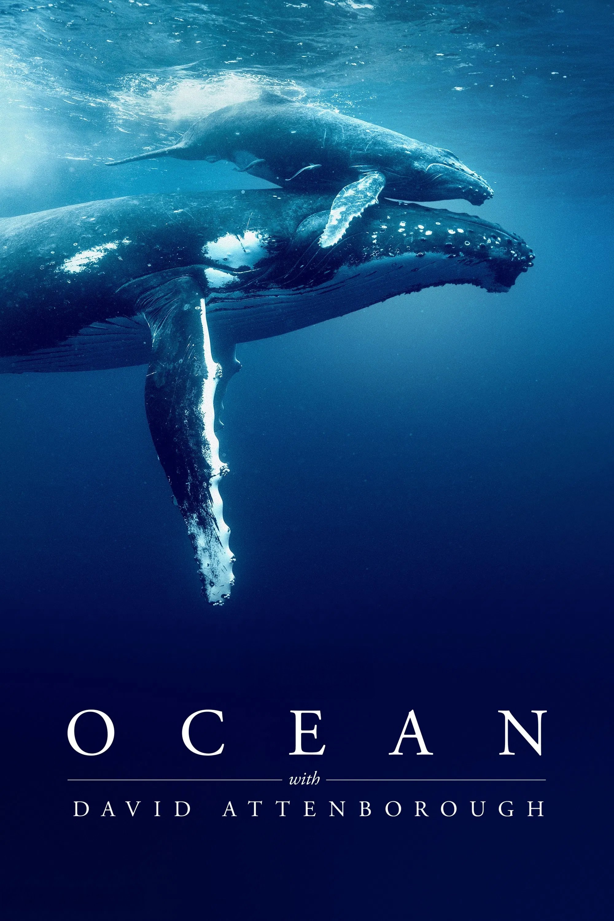 مستند Ocean with David Attenborough فیلم