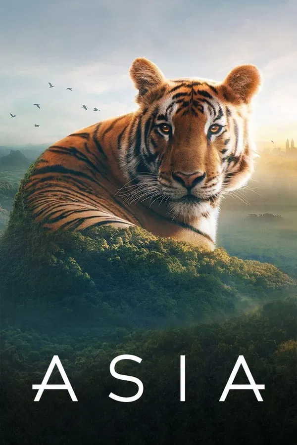 Asia سریال