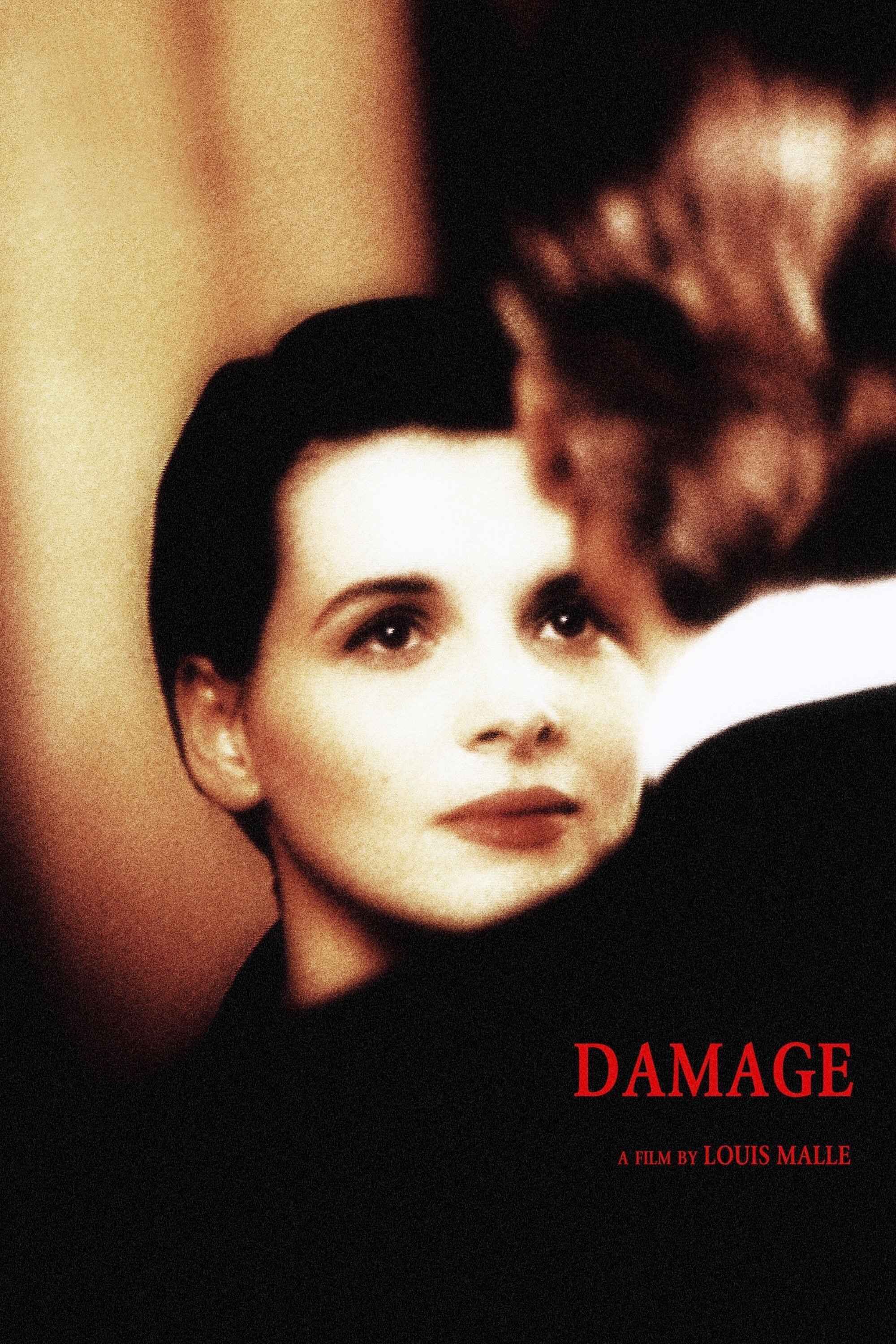 Damage فیلم