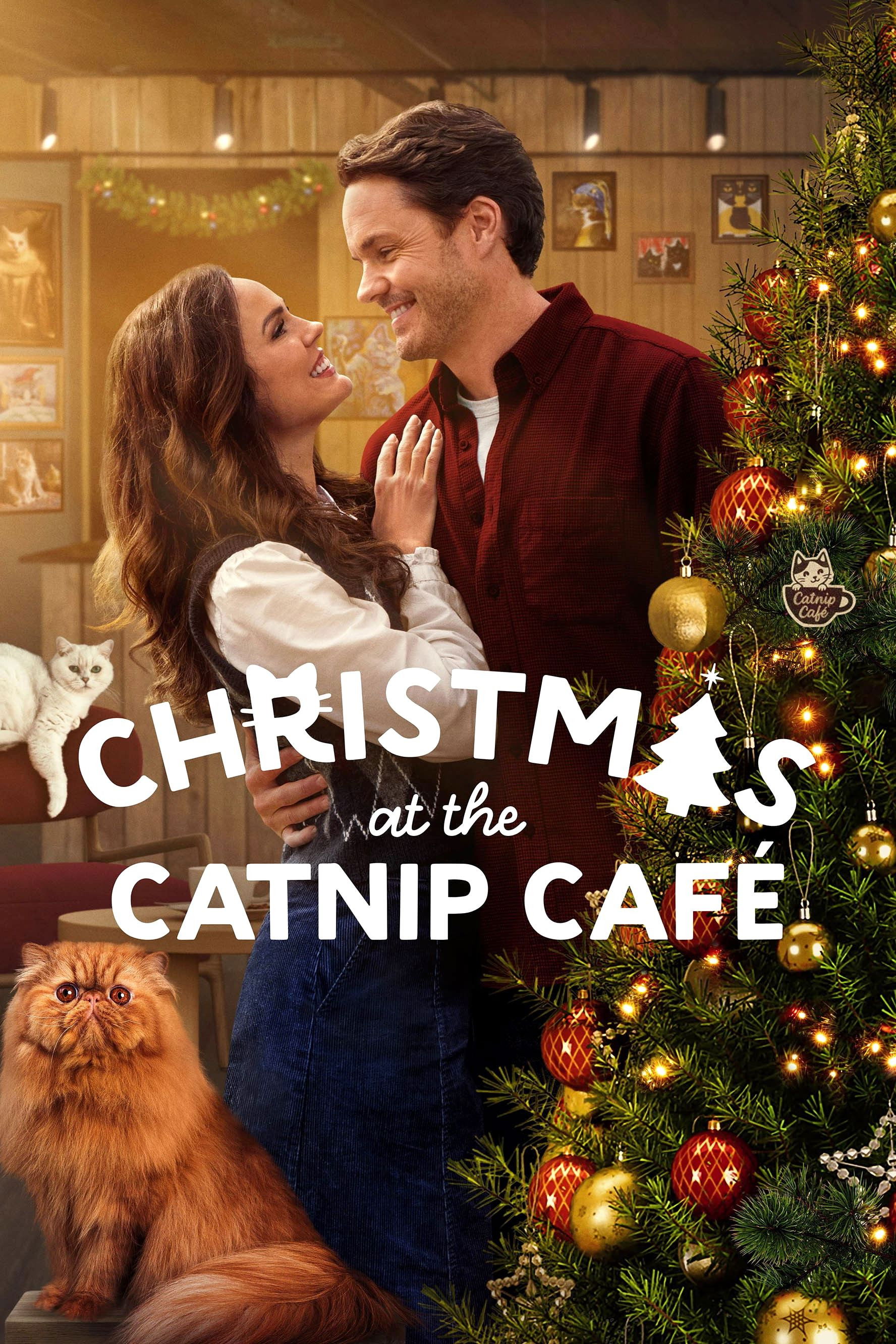 Christmas at the Catnip Café فیلم