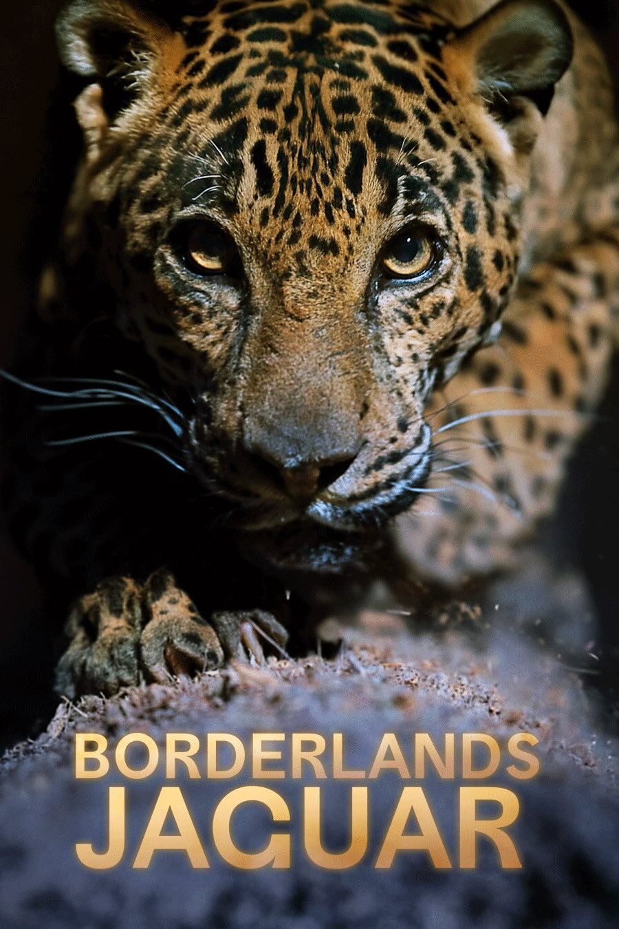 Borderlands Jaguar فیلم
