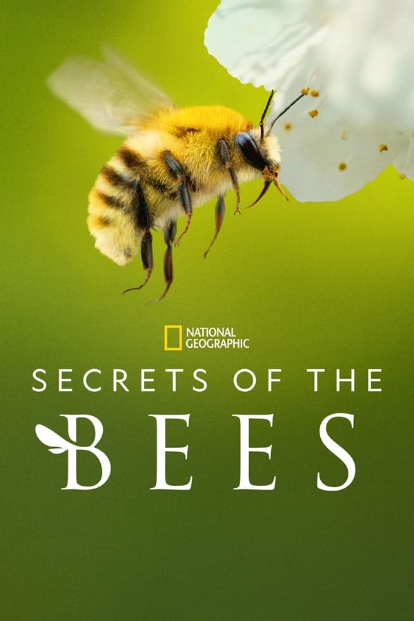 Secrets of the Bees سریال