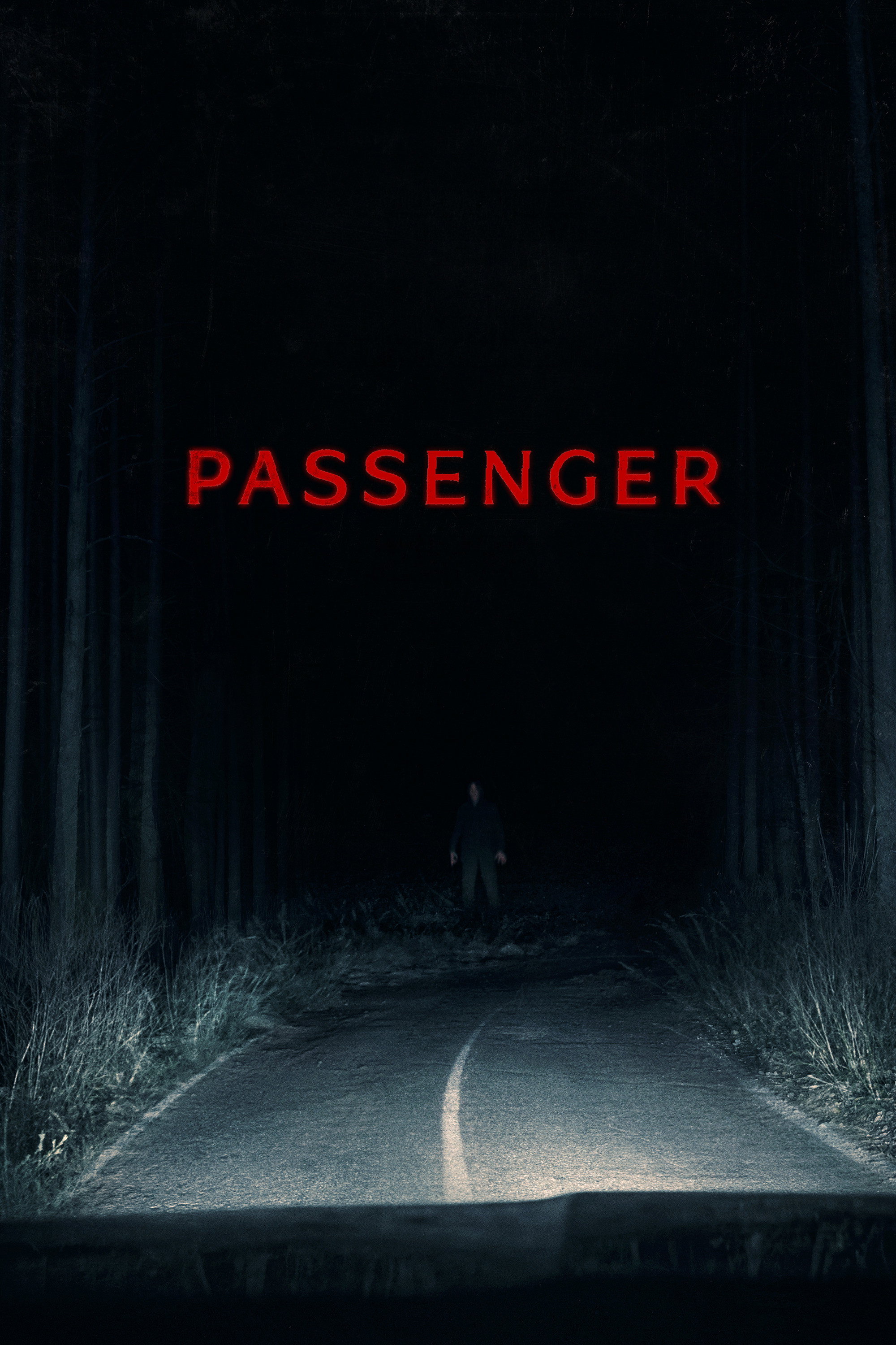 مسافر فیلم