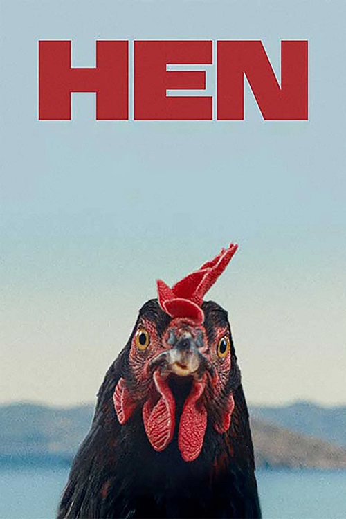 مرغ فیلم