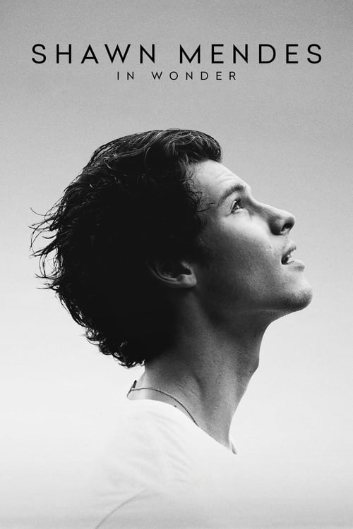 Shawn Mendes: In Wonder فیلم