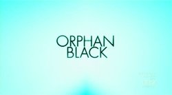 Skyler Wexler