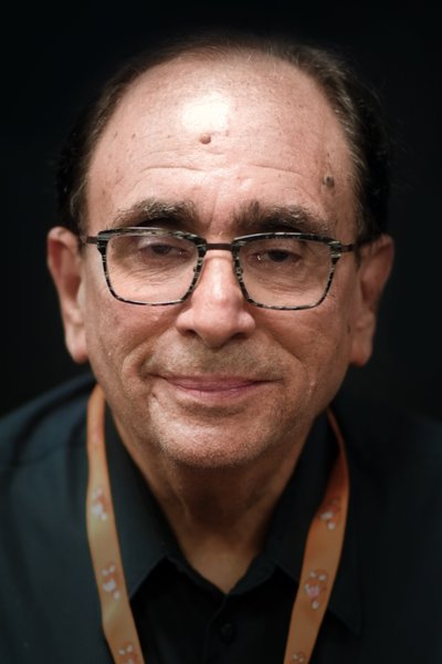 آر.ال. استاین