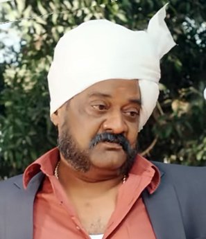 P. Ravishankar