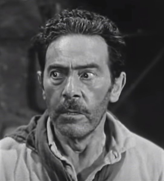 Charles Wagenheim