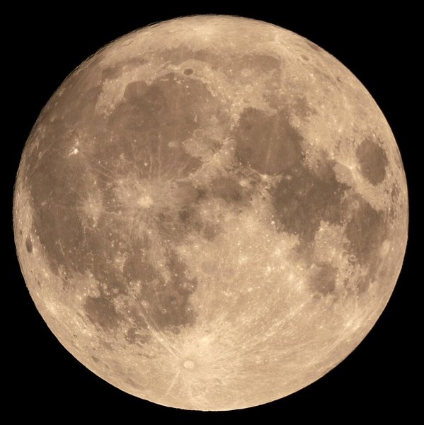 Poornima